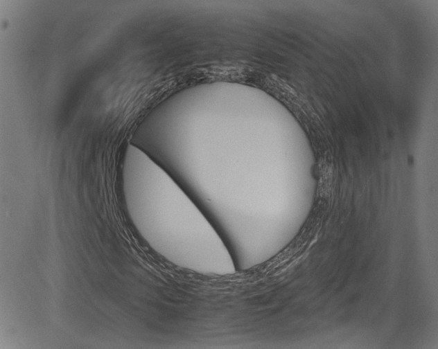 X0000085250913200703090943