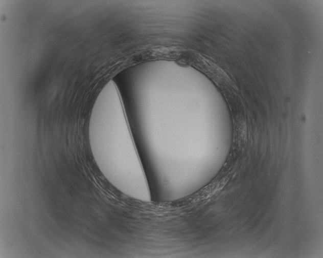 X0000085250914200703090943