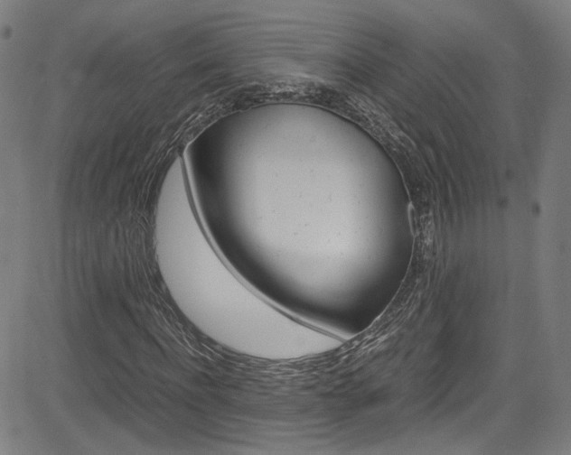X0000085250916200703090943