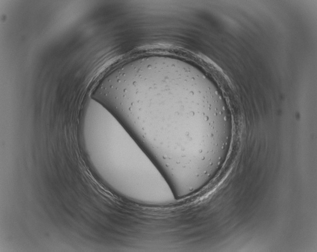X0000085250921200703090944
