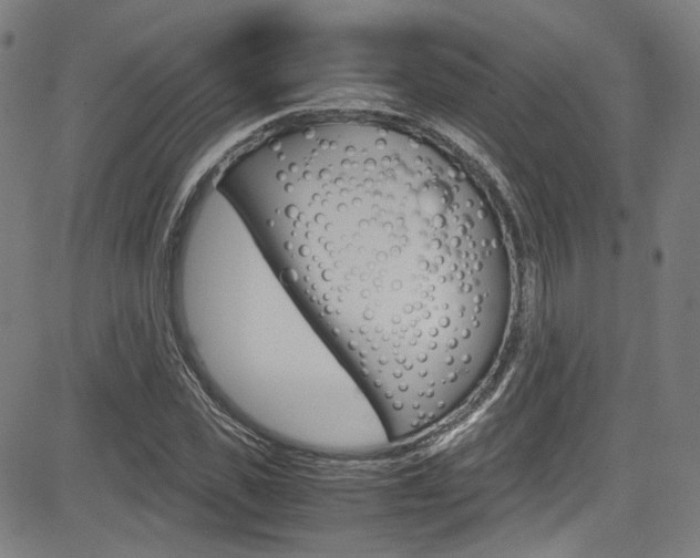 X0000085250925200703090944