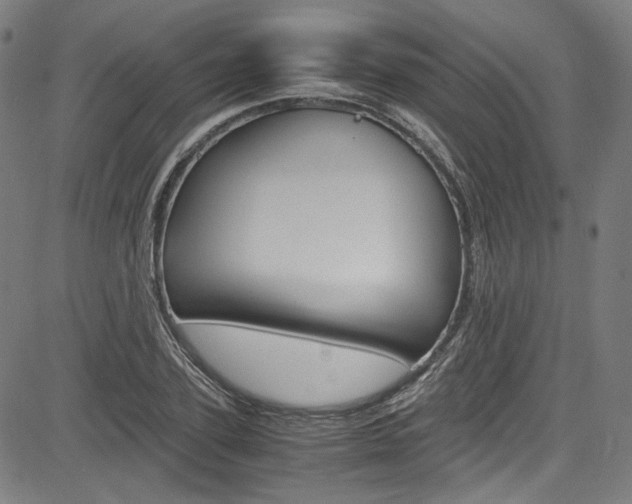X0000085250931200703090944