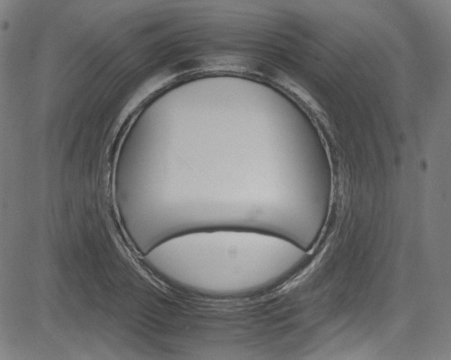 X0000085250933200703090944