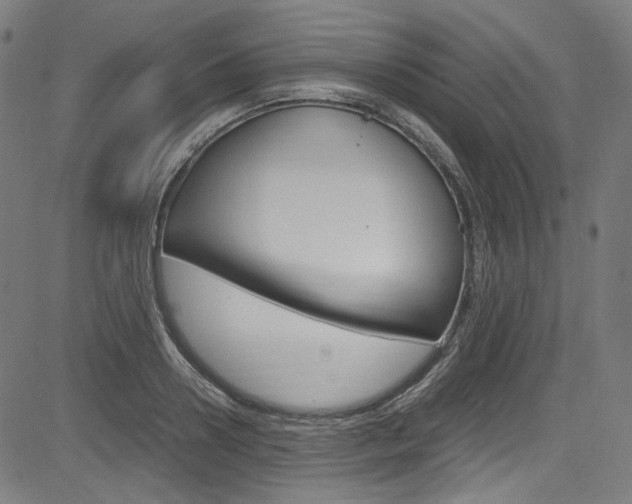 X0000085250938200703090944