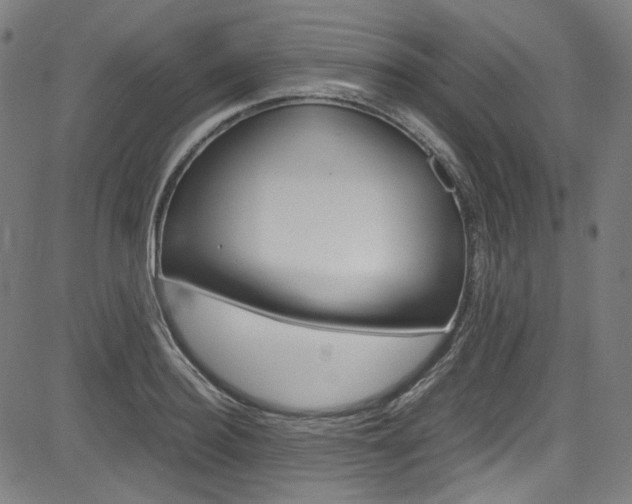 X0000085250940200703090944