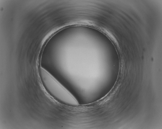 X0000085250944200703090944
