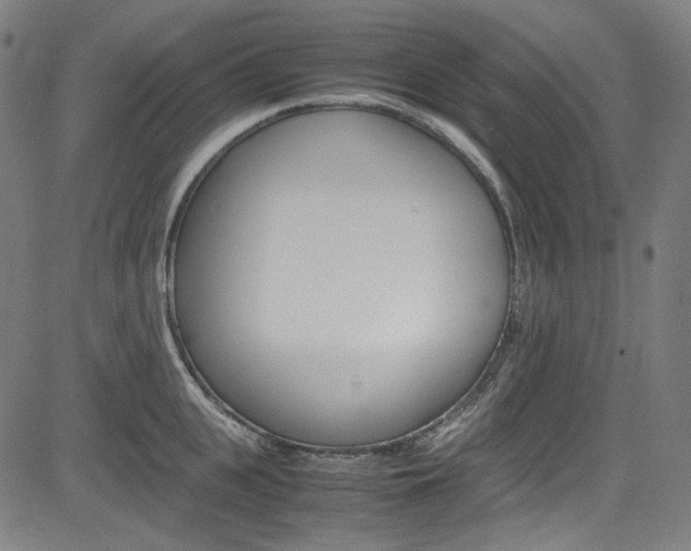 X0000085250951200703090944