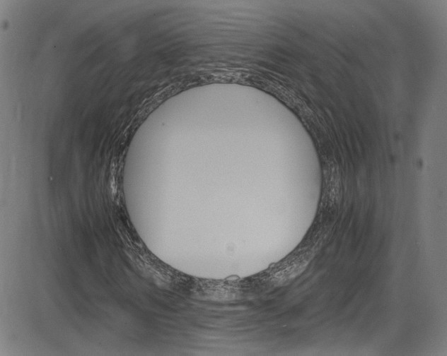 X0000085250962200703090943