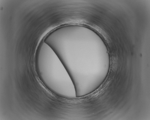 X0000085250982200703090943