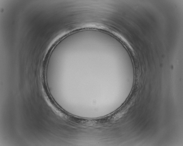 X0000085250991200703090943