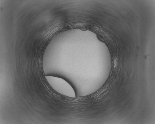 X0000085251011200703090942