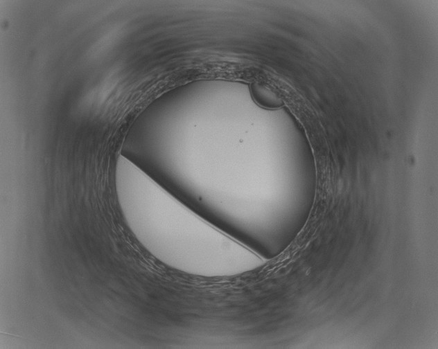 X0000085251013200703090942