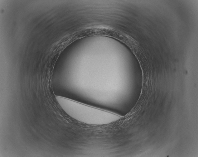 X0000085251014200703090942
