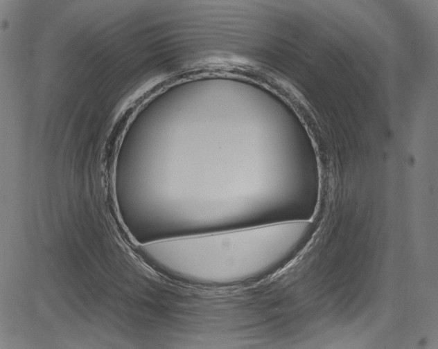 X0000085251018200703090942