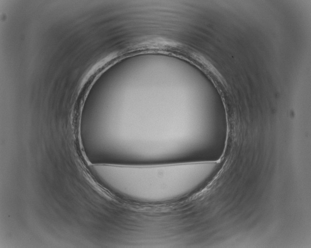 X0000085251026200703090942