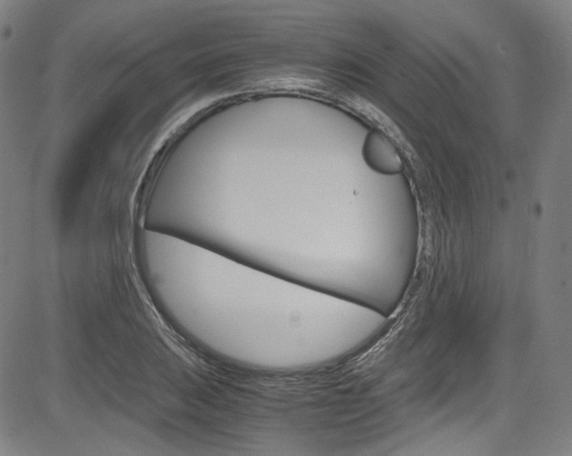 X0000085251031200703090942