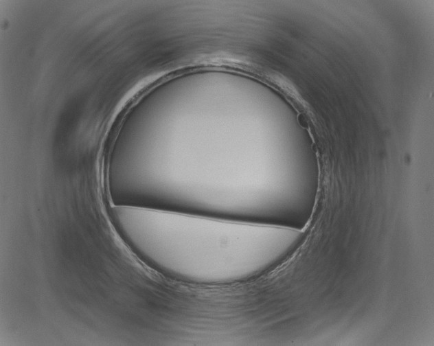 X0000085251032200703090942