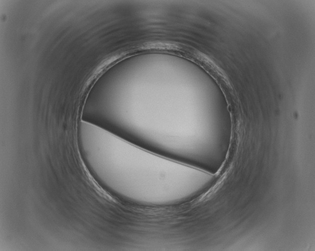 X0000085251033200703090942