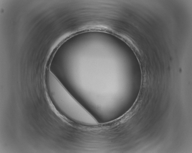 X0000085251038200703090942