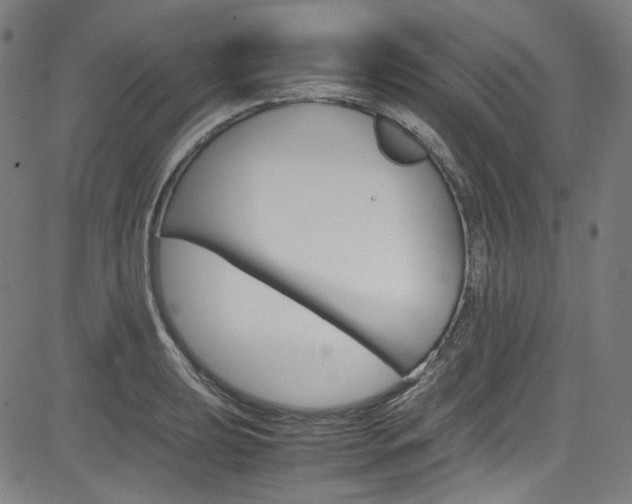 X0000085251039200703090942