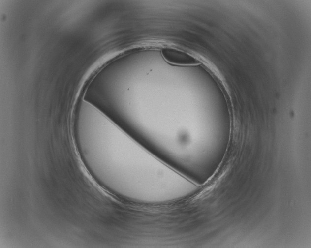 X0000085251045200703090942