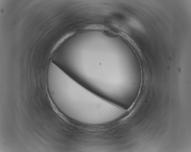 X0000085251049200703090942