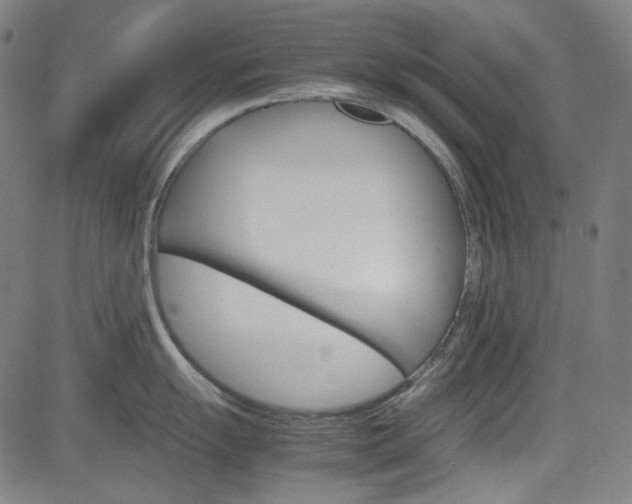 X0000085251055200703090943