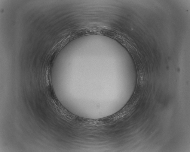 X0000085251060200703090942