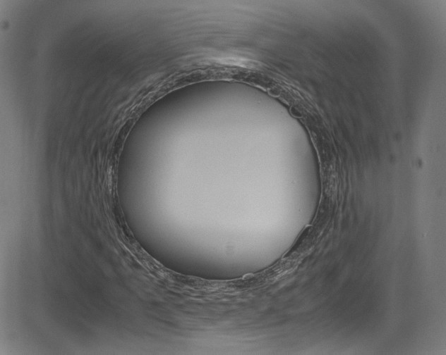 X0000085251061200703090942