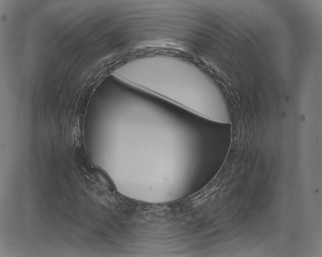 X0000085251062200703090942