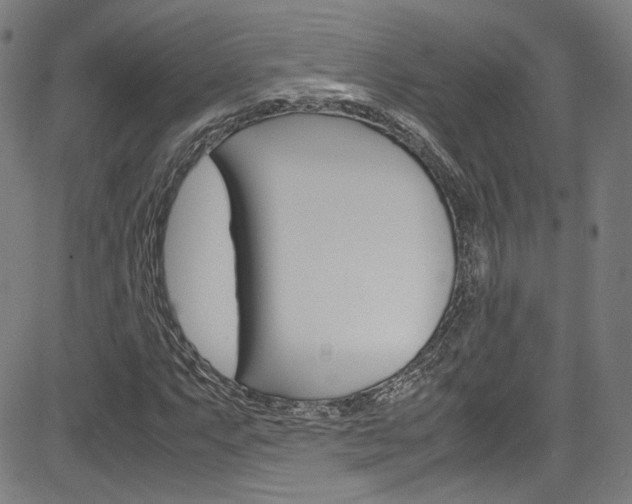 X0000085251063200703090942