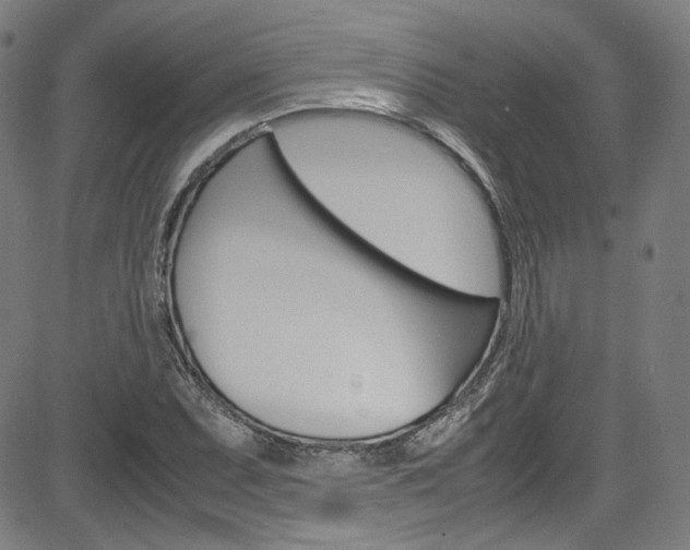 X0000085251071200703090942