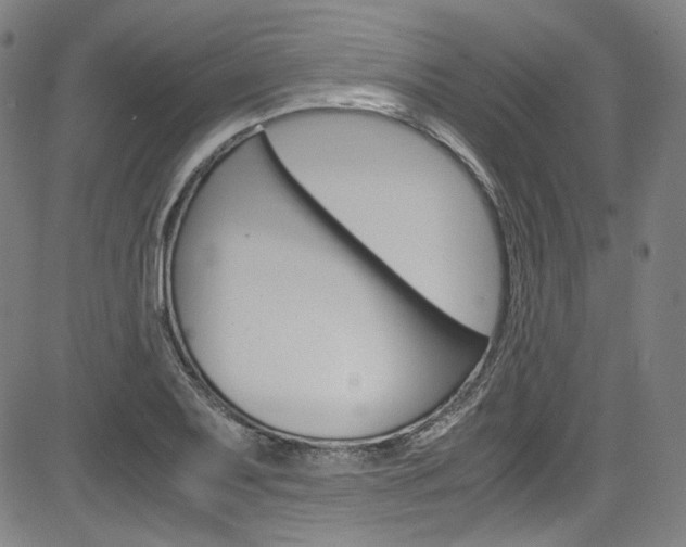 X0000085251079200703090941