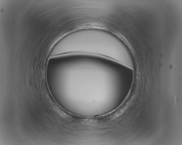 X0000085251081200703090941