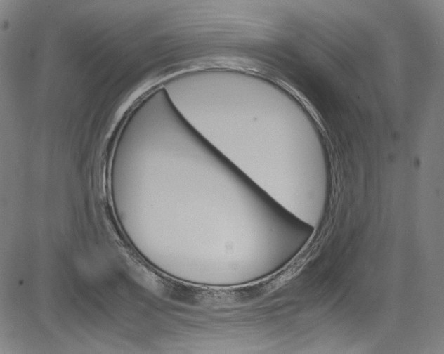 X0000085251083200703090941