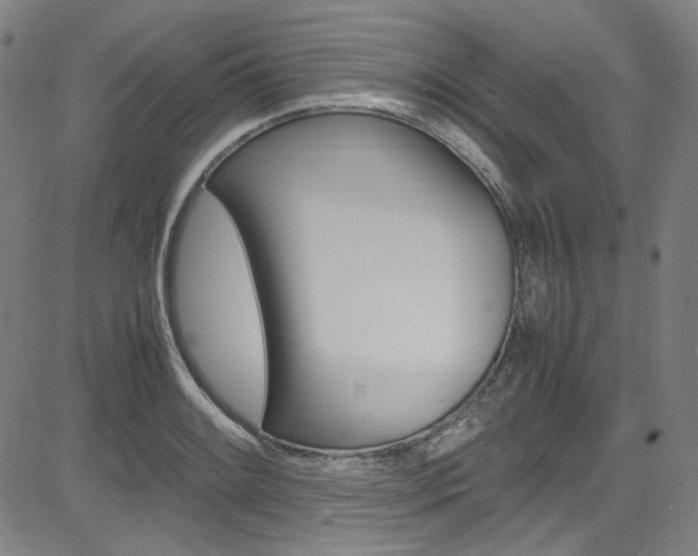 X0000085251084200703090941