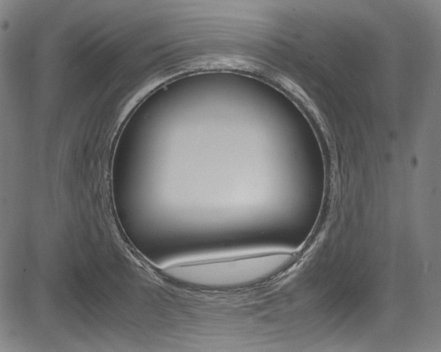 X0000085251089200703090941