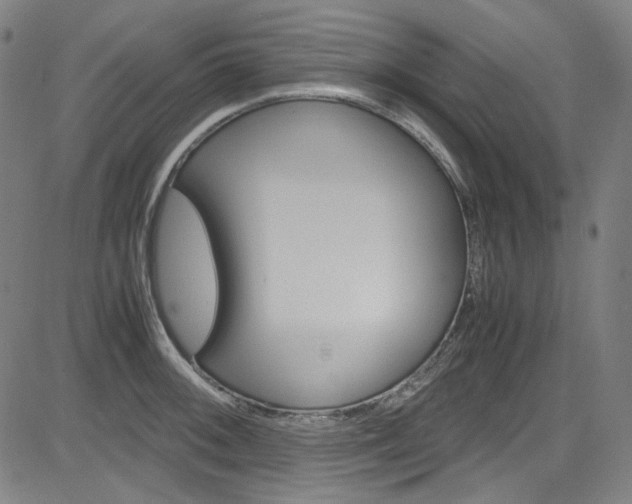 X0000085251092200703090941
