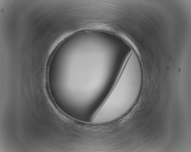 X0000085251093200703090941