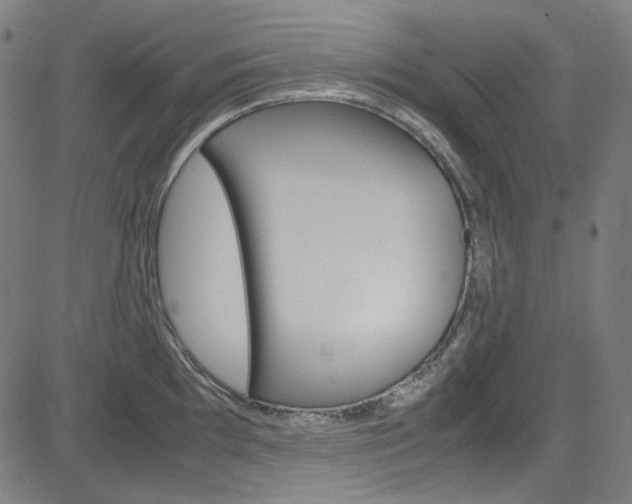 X0000085251097200703090941