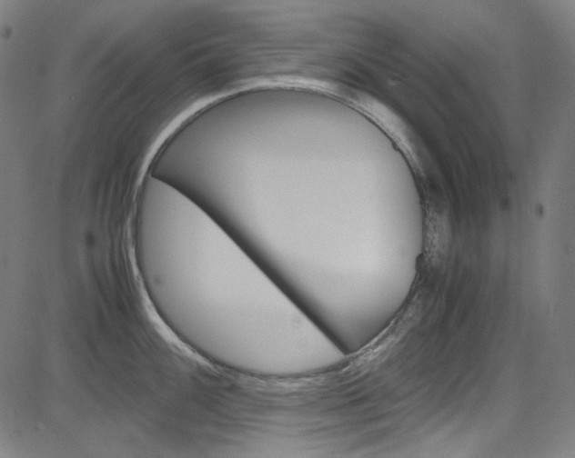 X0000085251100200703090941