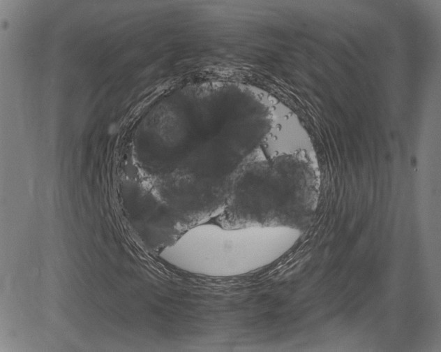 X0000085251105200703090940