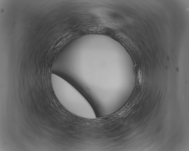 X0000085251107200703090940