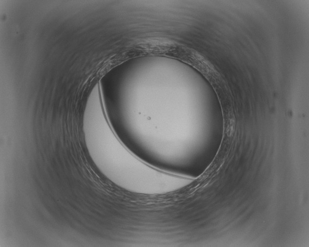 X0000085251108200703090940