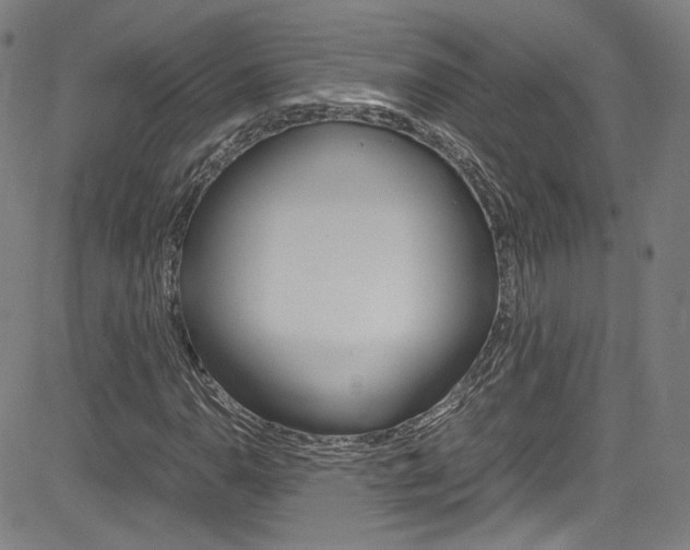 X0000085251110200703090940