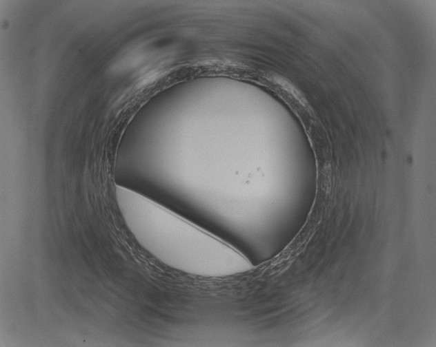 X0000085251111200703090940