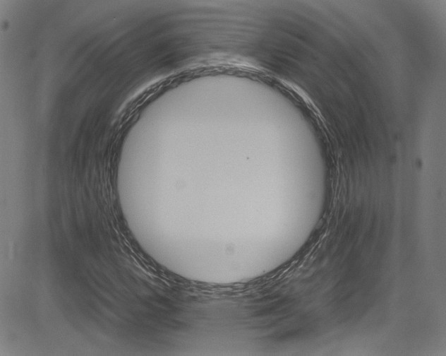 X0000085251112200703090940