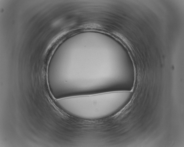X0000085251115200703090940