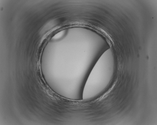 X0000085251117200703090940