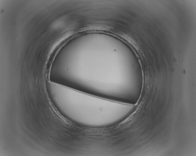 X0000085251119200703090940